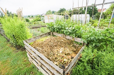 Einen Komposthaufen im Garten anlegen – so geht es