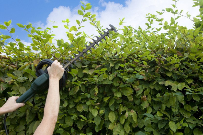 Gartenunfälle vermeiden!