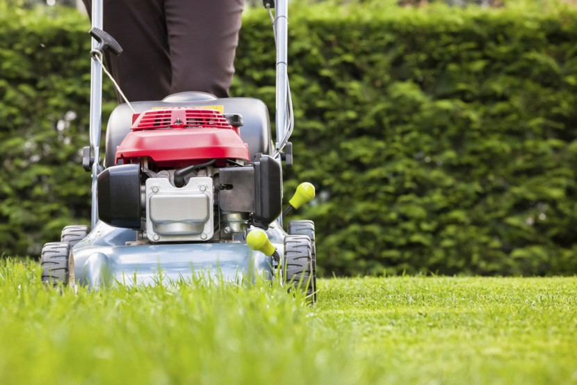 Grün, weich, kräftig – So geht Rasenpflege im Sommer