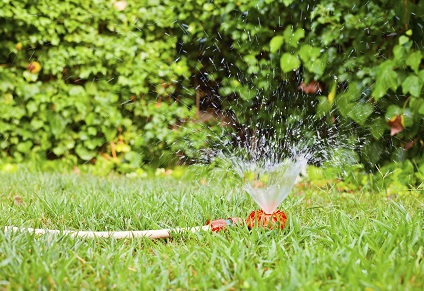 Do-it-yourself: Eine Bewässerungsanlage für den Garten