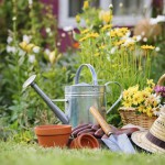 Immer schön entspannt bleiben – Gartentipps für Faule