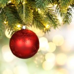 Tipps für die Tanne: So bleibt der Weihnachtsbaum lange frisch