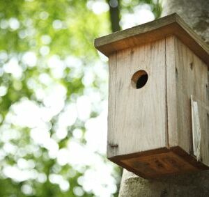 Fehler vermeiden: Bohrmaschine auf Brusthöhe halten