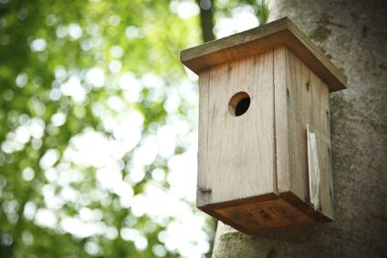 Für die Gartenvögel: Nistkästen bauen